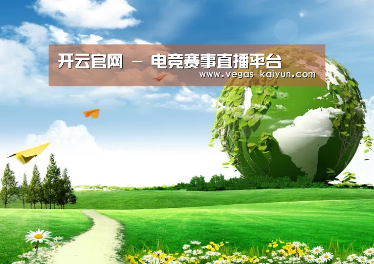 开云电竞公司