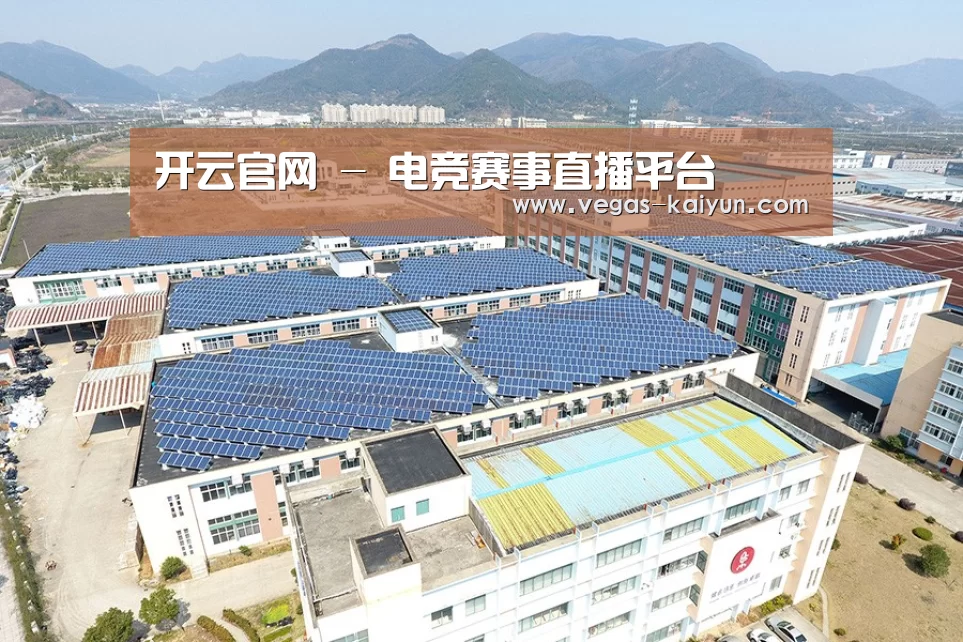 案例展示二