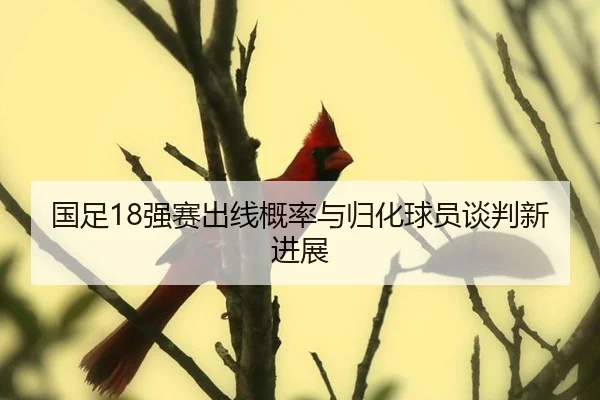 国足18强赛出线概率与归化球员谈判新进展