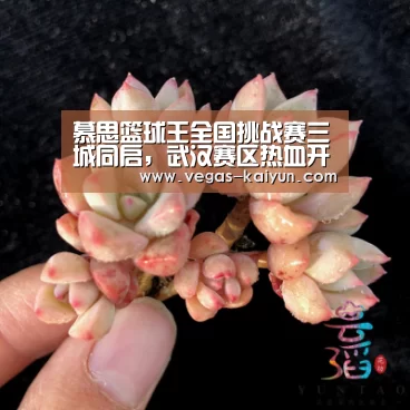 慕思篮球王全国挑战赛三城同启,武汉赛区热血开赛‘开云电竞’(图2) 开云直播