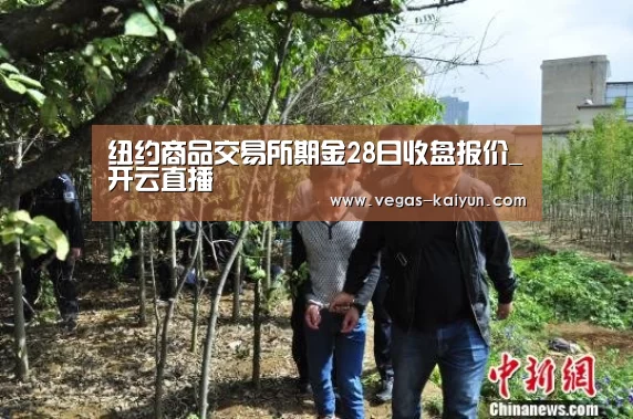 纽约商品交易所期金28日收盘报价_开云直